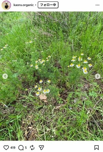 杉田かおるのInstagram投稿