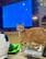 「ギョェェエエ！！！」凛々しい顔をする猫の足元を見ると…“猫リセット”に笑ってしまう