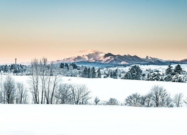 北海道でシマエナガの奇跡的な瞬間を撮影　「かわいくて神々しい」「有名な歌を思い出す」との声も