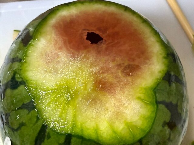 「怖すぎる」スイカでお洒落な器を作ろうとしたら…　失敗したとは思えないクオリティに注目集まる