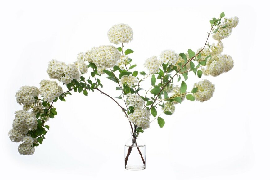 Viktor_AL/istockphoto.com