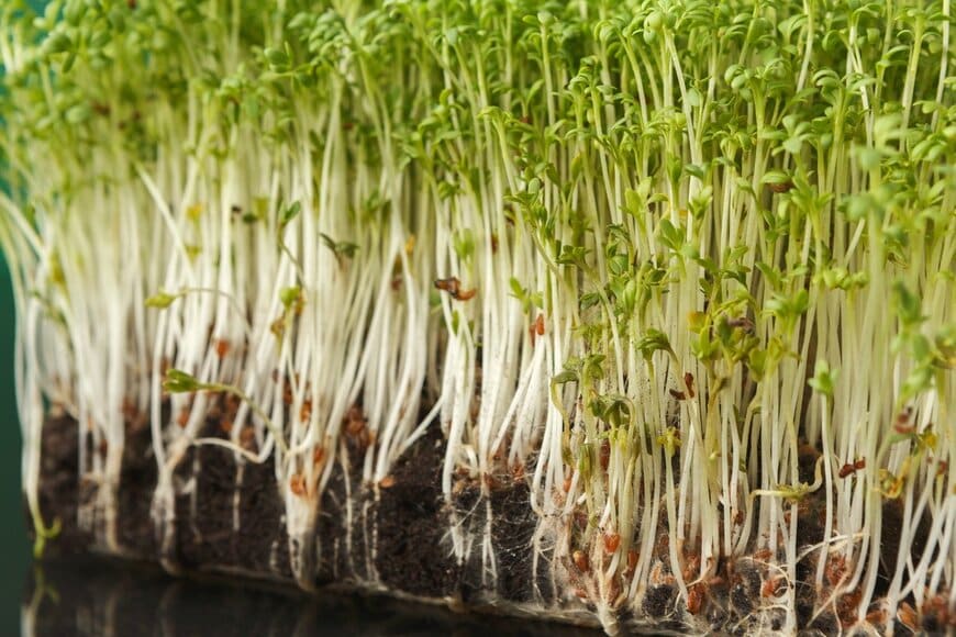 Prostock-studio/shutterstock.com