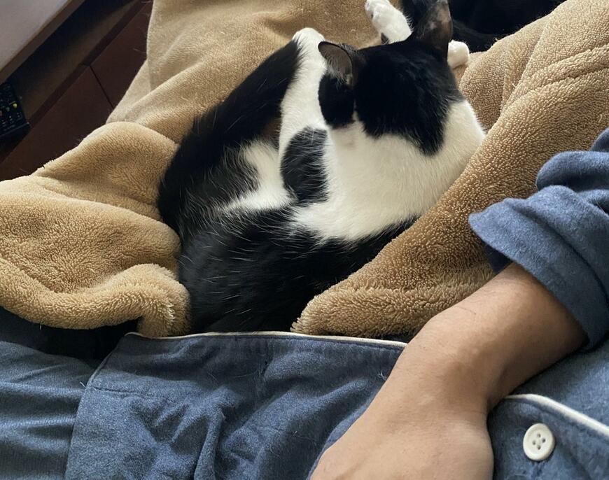 出所：@00shitemita