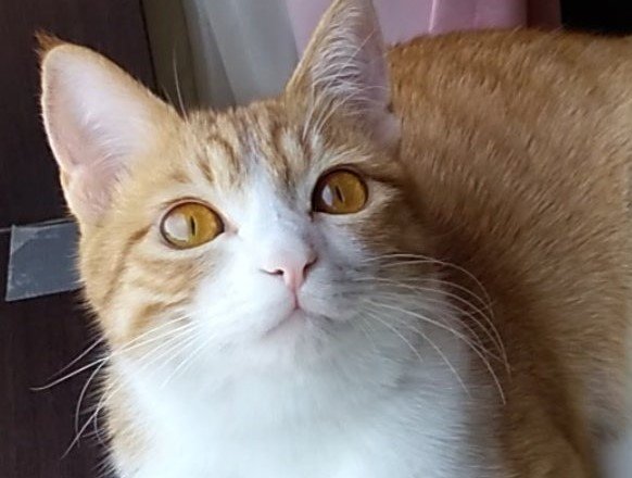 出所：@mero627puri914