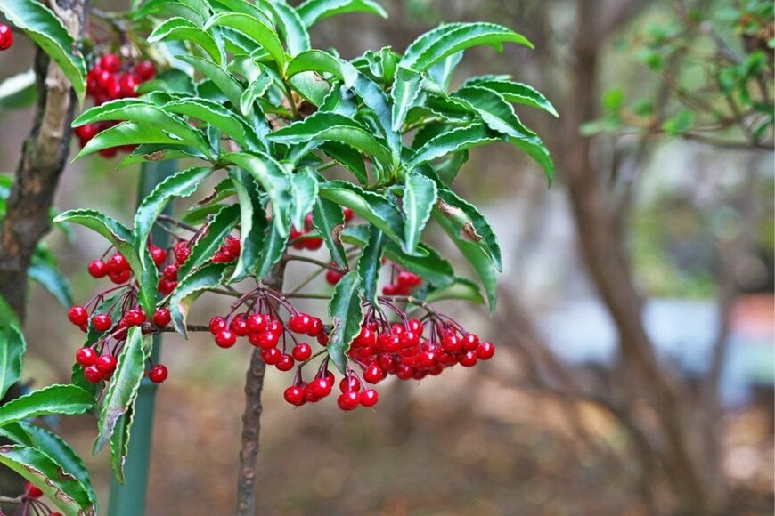 igaguri_1/istockphoto.com