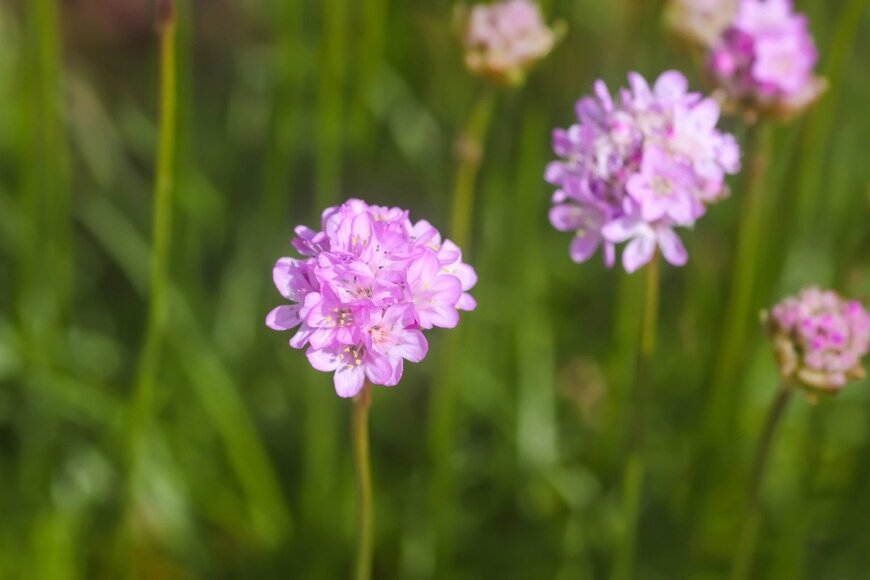 Olga Strogonova/istockphoto.com
