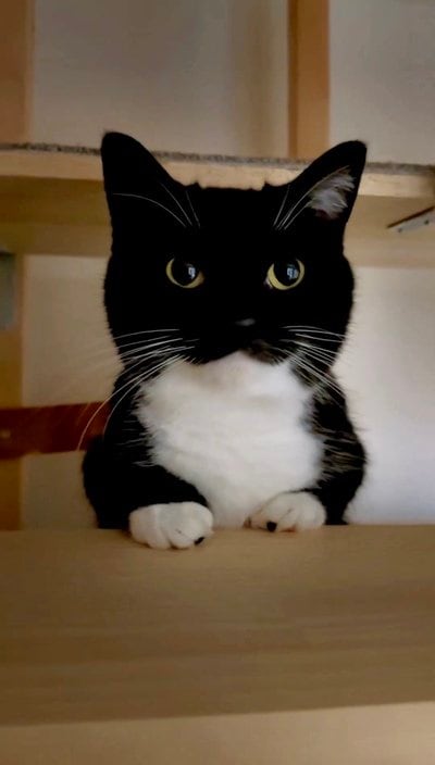 出所：@unicouniuni3