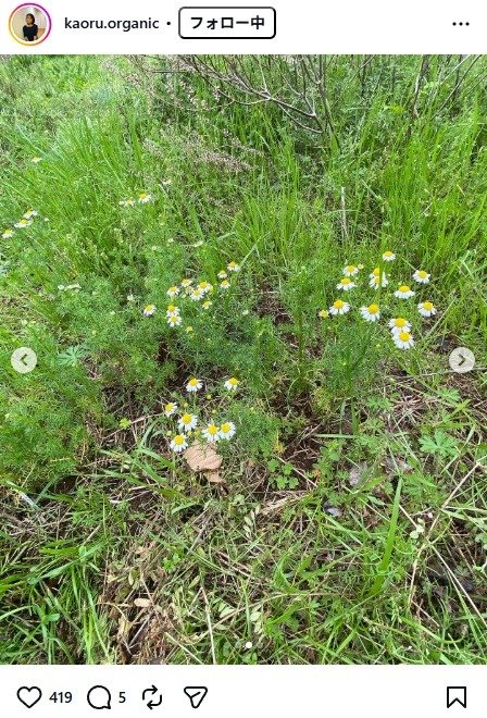 出所：杉田かおるのInstagram（＠kaoru.organic）　参照日：2026年4月10日