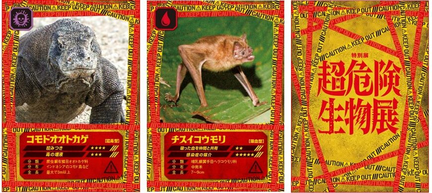 出所：PRTIMES「その“キケン”、ワケがあります！　特別展「超危険生物展科学で挑む生き物の本気」