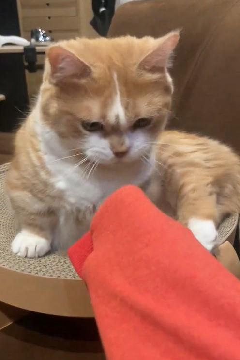 出所：@kotaro_0315