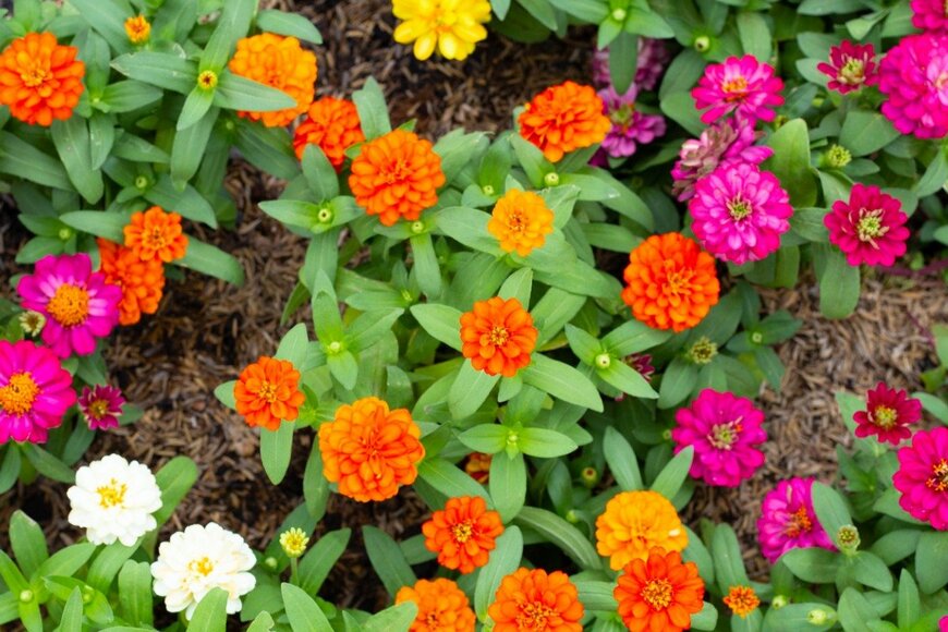 Bowonpat Sakaew/istockphoto.com