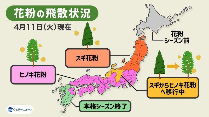 出所：ウェザーニューズ 