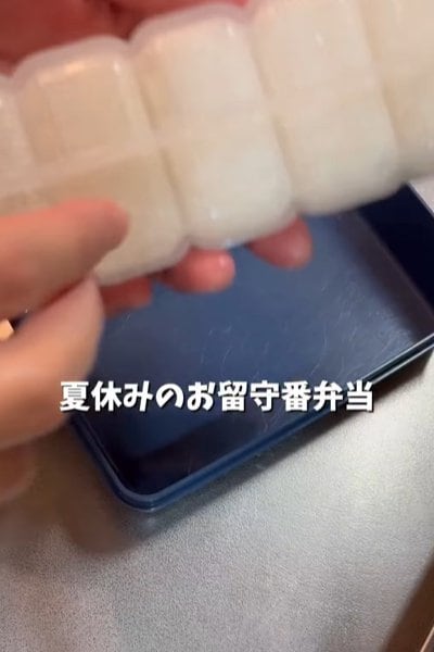 詰め方にこだわった綺麗な「男子高校生弁当」が話題！定番おかずも入ってボリューム満点