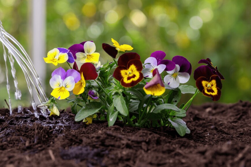 rawf8/shutterstock.com