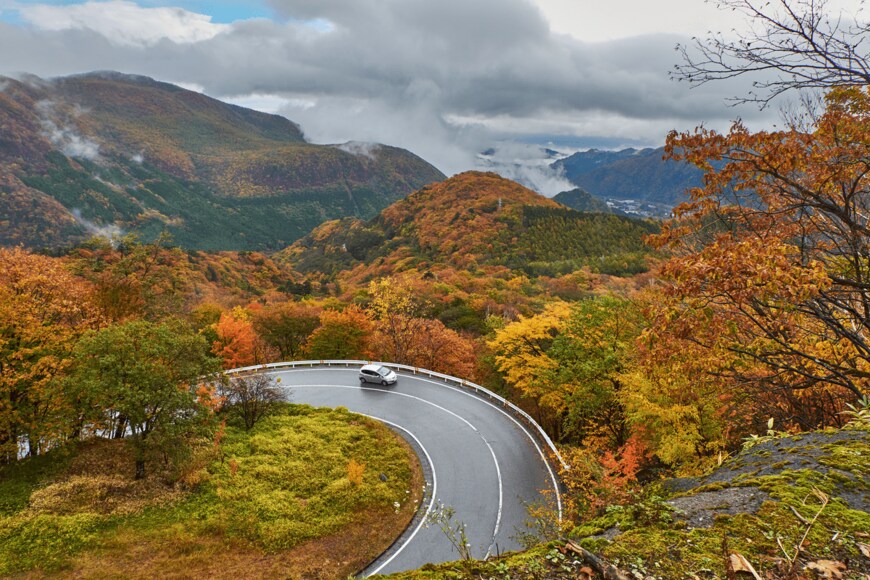 LightRecords/shutterstock.com