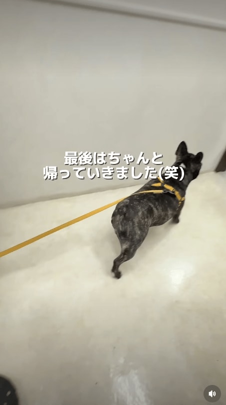 @idea_animal_hospital