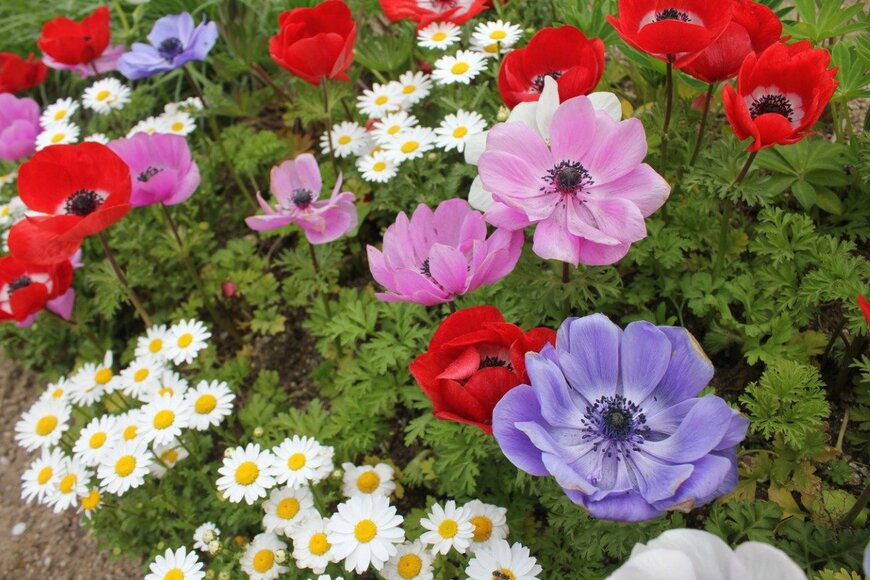 태환 김/istockphoto.com