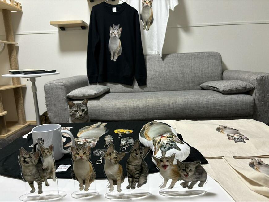 アクリルスタンドと猫