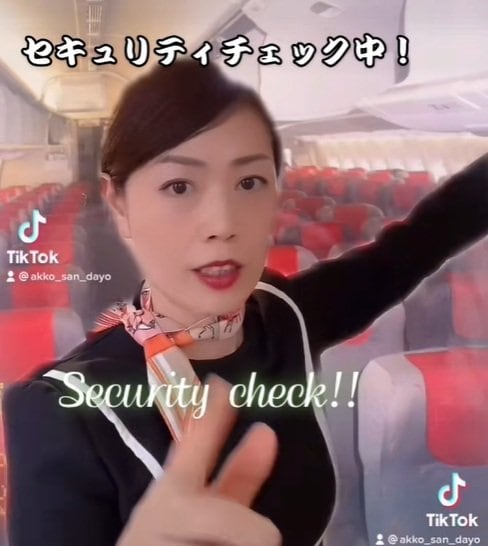 機内上部の棚もセキュリティチェック対象