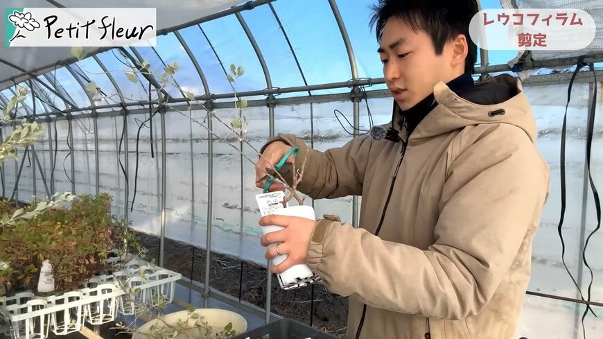 プチ・フルール（@petit_fleur）さん投稿動画のキャプチャ