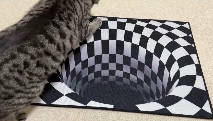 トリックアートと猫