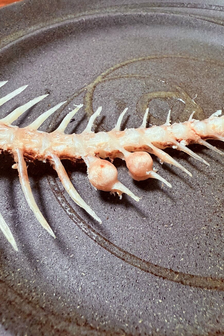 食べ終わった鯛の骨