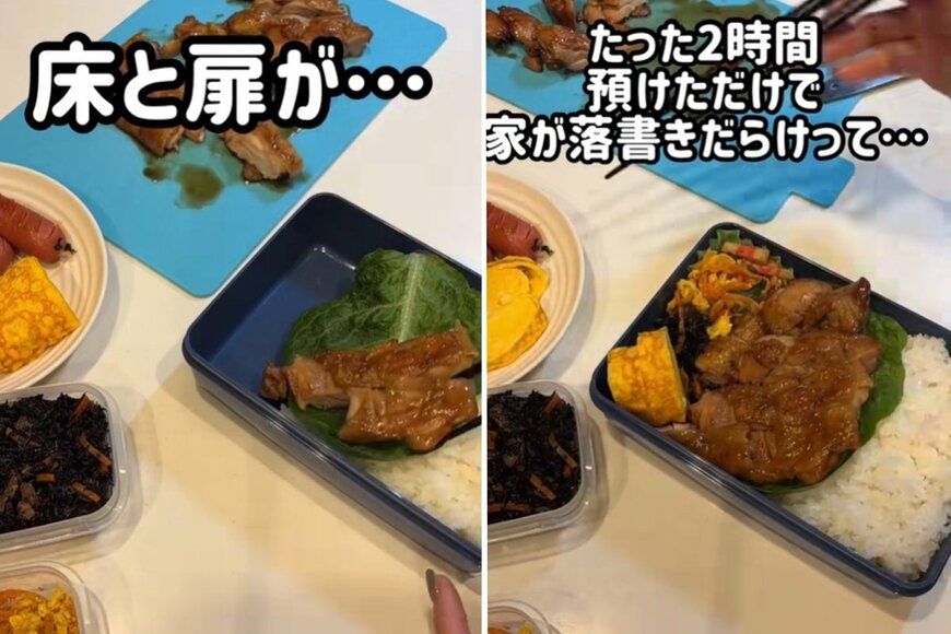 投稿動画のワンシーン