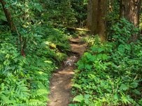 トイレを見つけたと思い近づいたら…　判明した看板の正体に「紛らわしい」「たしかに見える」