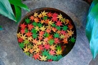 10月から「年金振込額」が変わる人はどんな人？年金額が変わる理由3つ