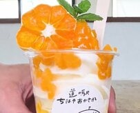 大阪の道の駅で見つけた「みかんソフト」とは？食感が変わる冷スイーツに「さっぱりしてる」「想像と違う味」