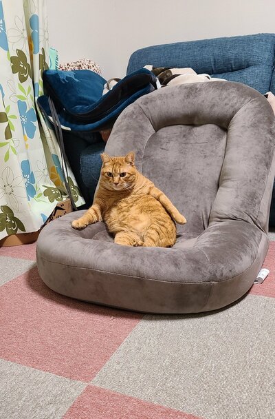 幸せそうな佇まいが印象的