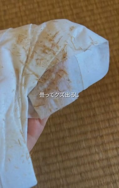 投稿の画像