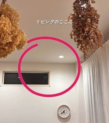 投稿の画像