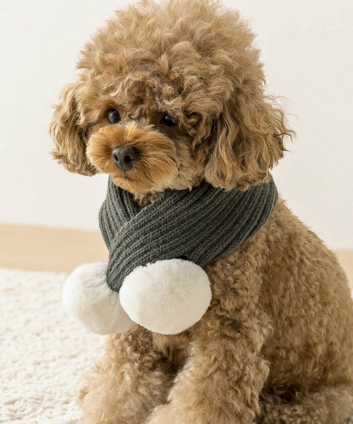 着用は片側の穴にポンポンを通すだけ