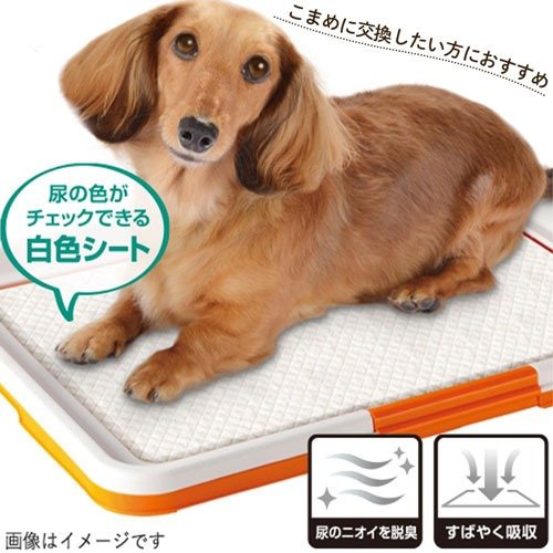 DCMで人気のペット用トイレタリー