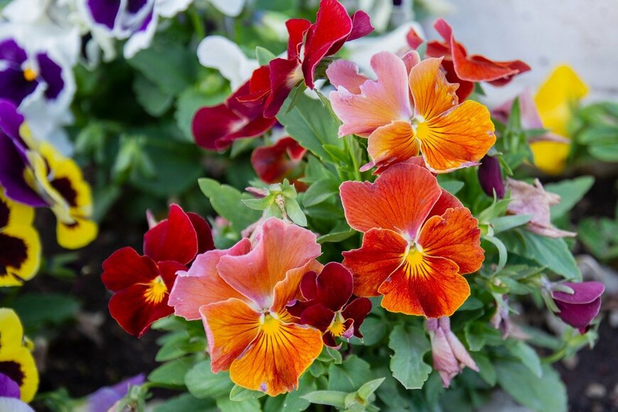 Yasin Caglayan/istockphoto.com