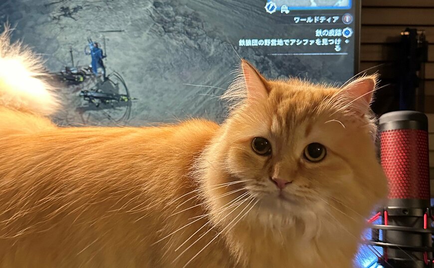 出所：@NEKOLAND13