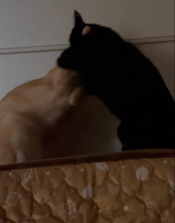 出所：＠Teagle_Noir