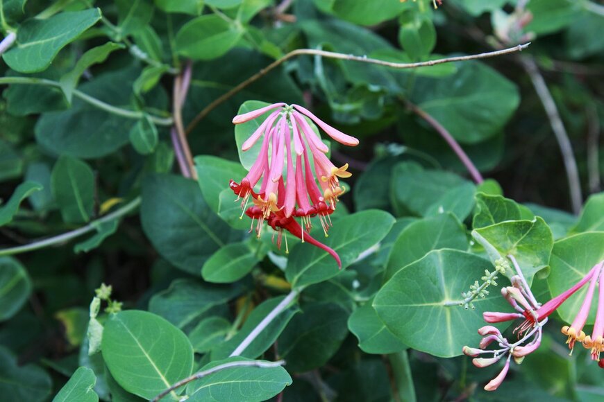 Denise Erickson/istockphoto.com