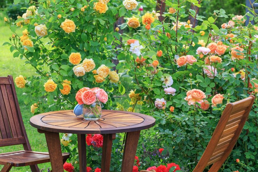 Olga_Ionina/shutterstock.com