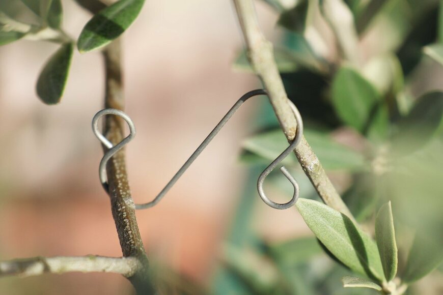 写真：筆者撮影