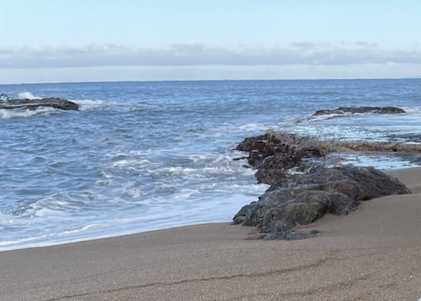 能登半島地震の津波で新潟県の海岸に漂着した物とは？数時間後の奇跡的な展開に1.2万いいね