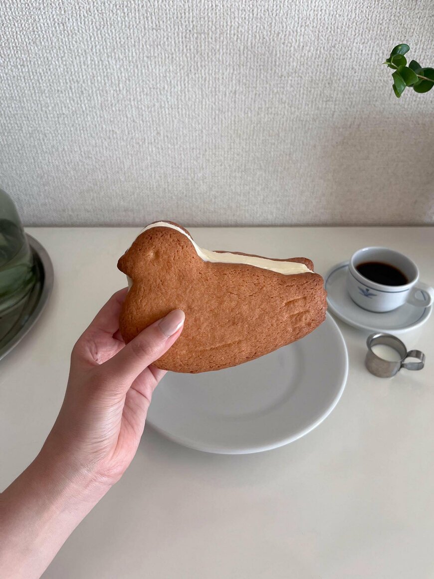 出所：@__konchikuwa_