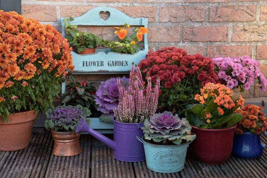 Nika Art/shutterstock.com