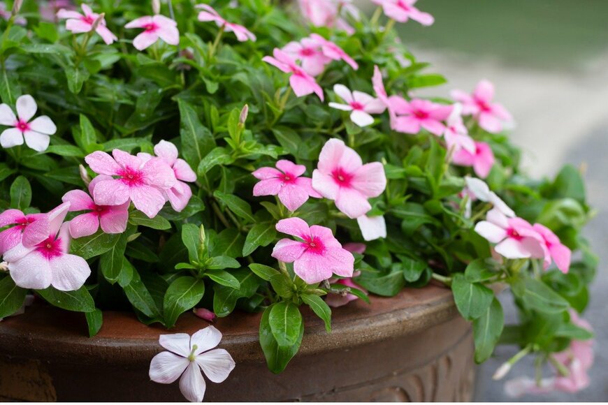 Wira Thigosee/istockphoto.com