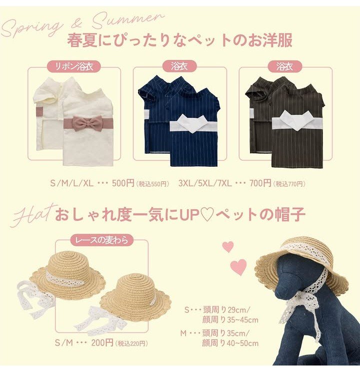 画像出所：ダイソー公式Instagram
