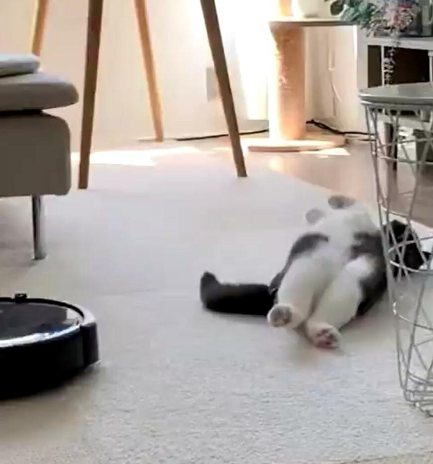 出所：@omochiomoching