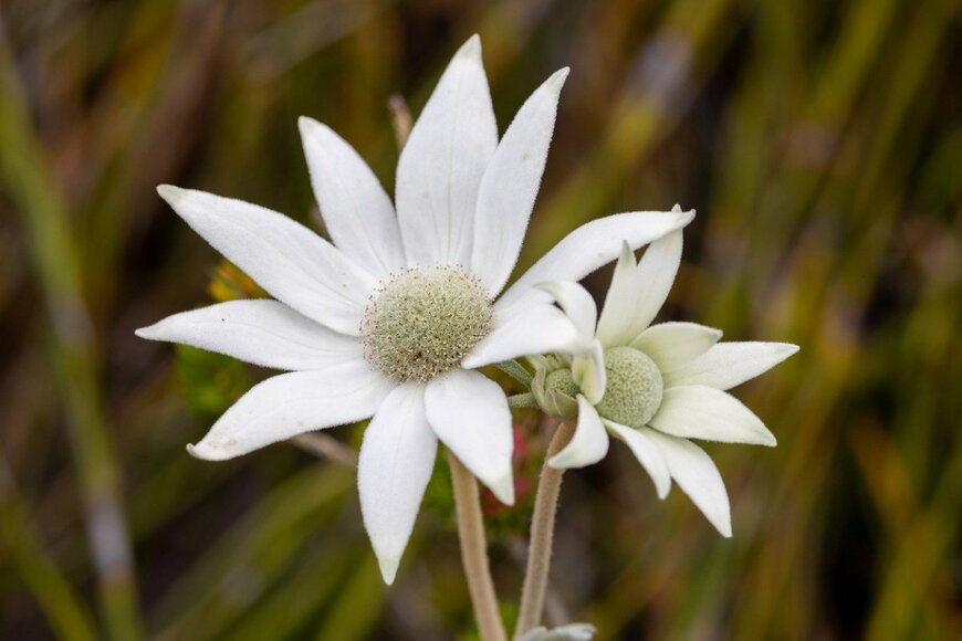 Ken Griffiths/istockphoto.com