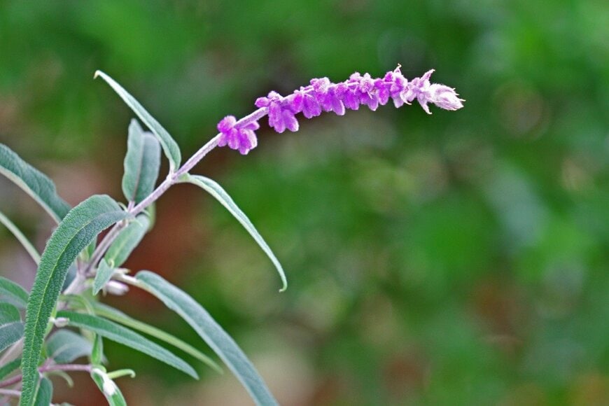 igaguri_1/istockphoto.com