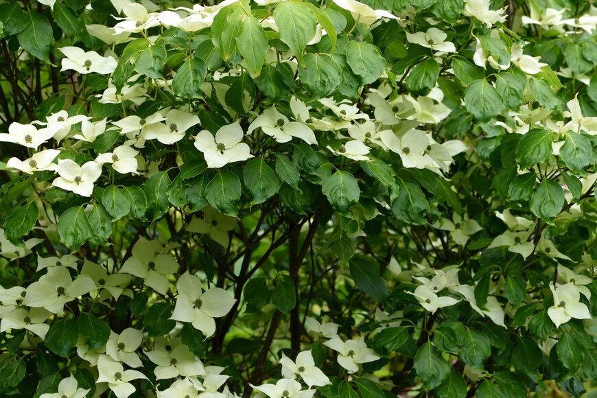 Mike Russell/shutterstock.com